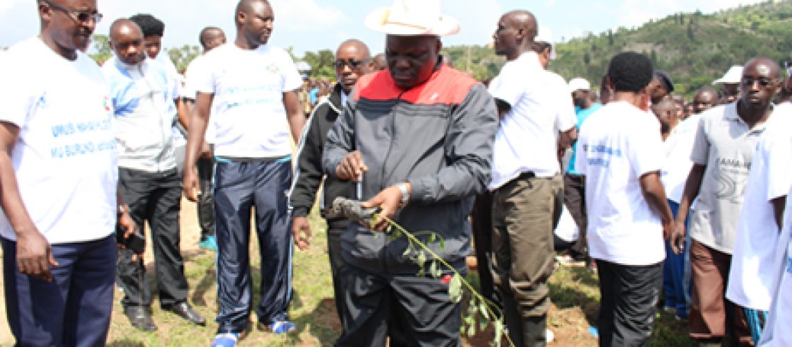 Le Président de l’Assemblée Nationale en train de préparer un plant d’arbre avant sa plantation