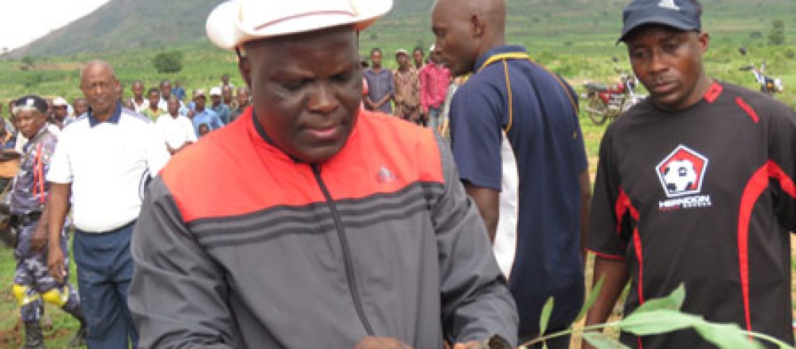 Le Président de l’Assemblée Nationale plantant de jeunes plants d’eucalyptus au camp de Mutukura