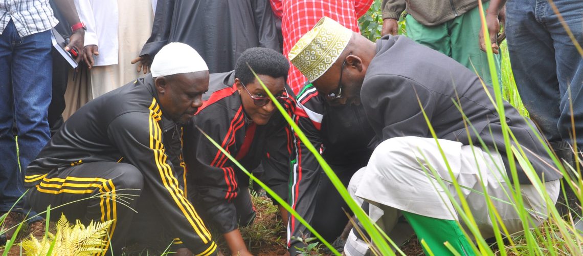 L’Honorable 2ème Vice-Président entrain de planter un arbre